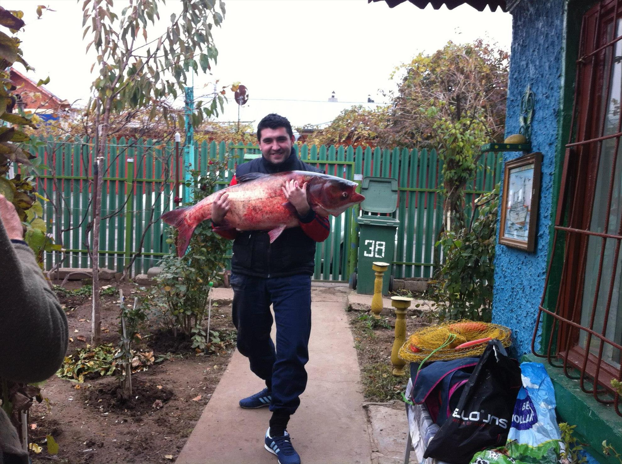 pescuit - 177263449509801751229272909791o.jpg